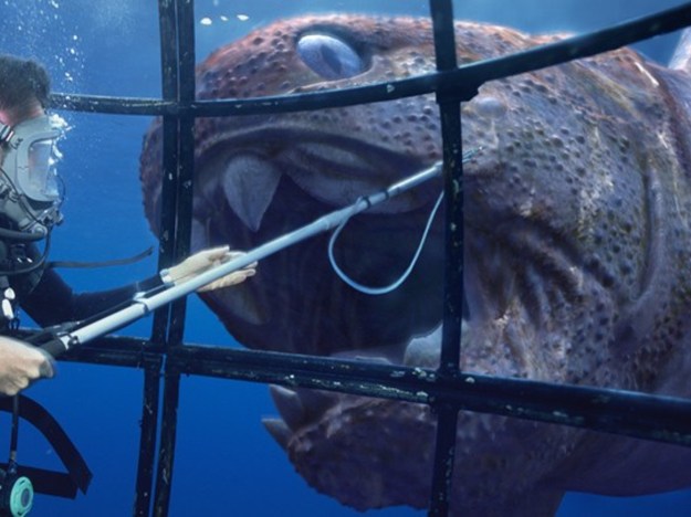 I WILL EAT YOUR SOUL