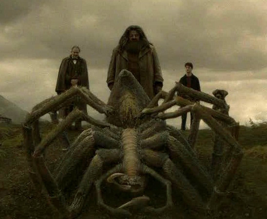 Aragog's_funeral_2