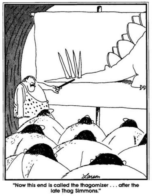 thagomizer