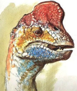 Dinotopia, Oviraptor