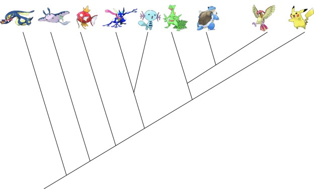 pokemon phylogenetics, vertebrates, pokemon